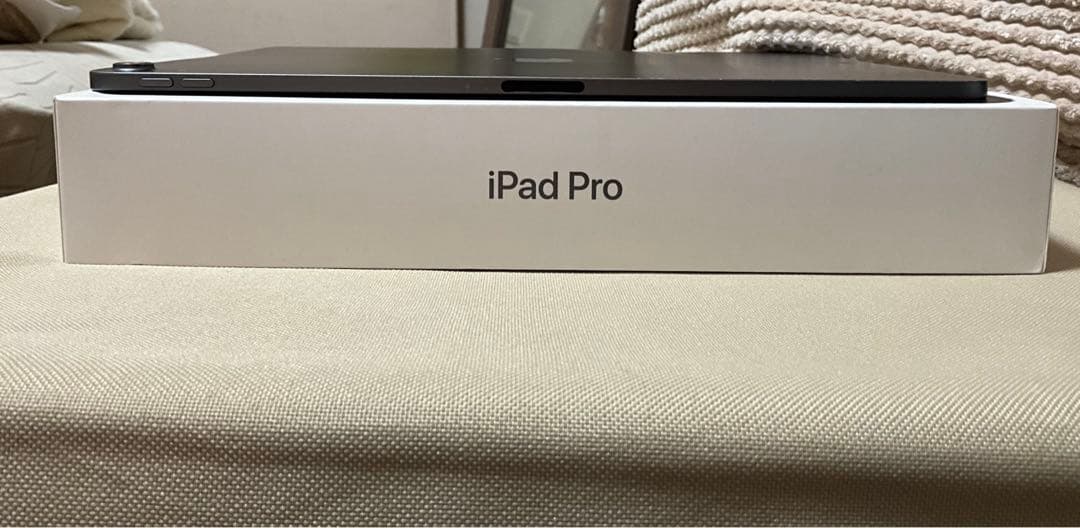 Apple iPad Pro12.9インチ256GB WiFiモデル