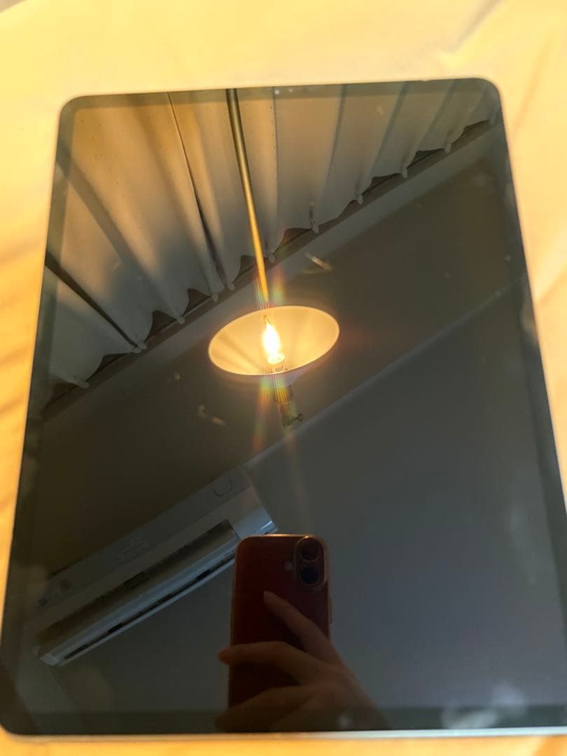 Apple iPad Pro12.9インチ256GB WiFiモデル