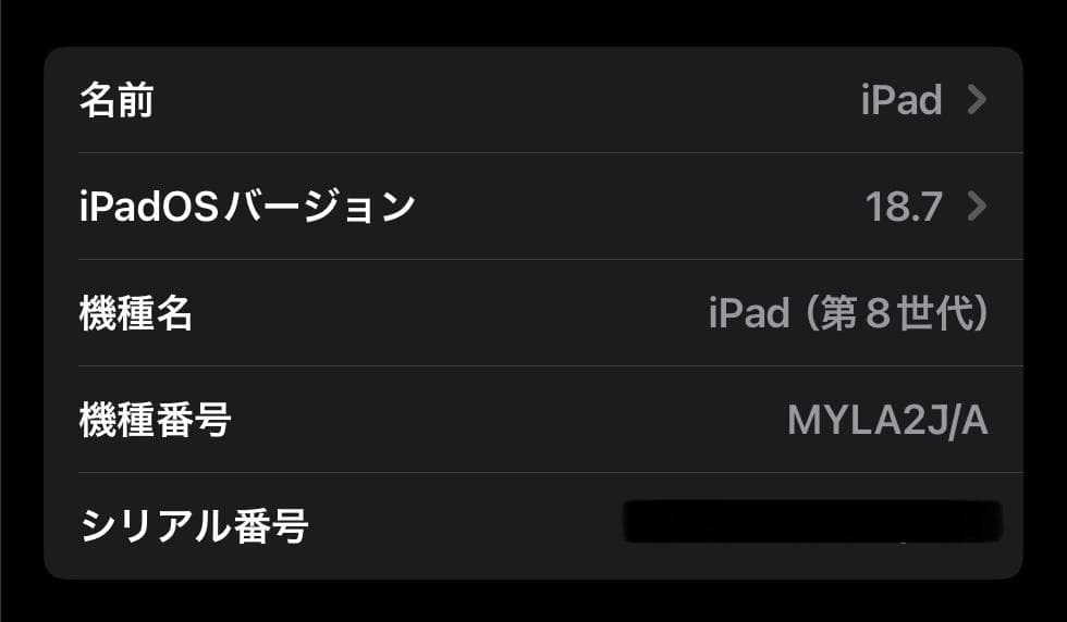 iPad 8世代　32GB 10.2インチ Wi-Fiモデル 本体