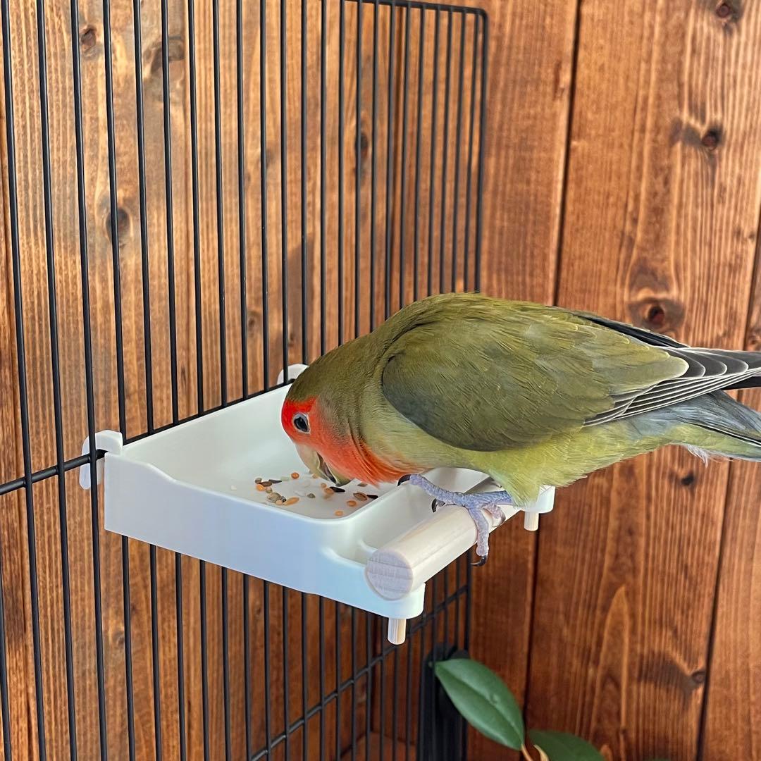 【○】広くて浅いバード食器　他おまとめ