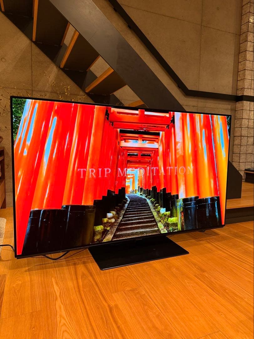 【かいじゅうぶーうごん様】Panasonic 2019年製 TH-55FZ950