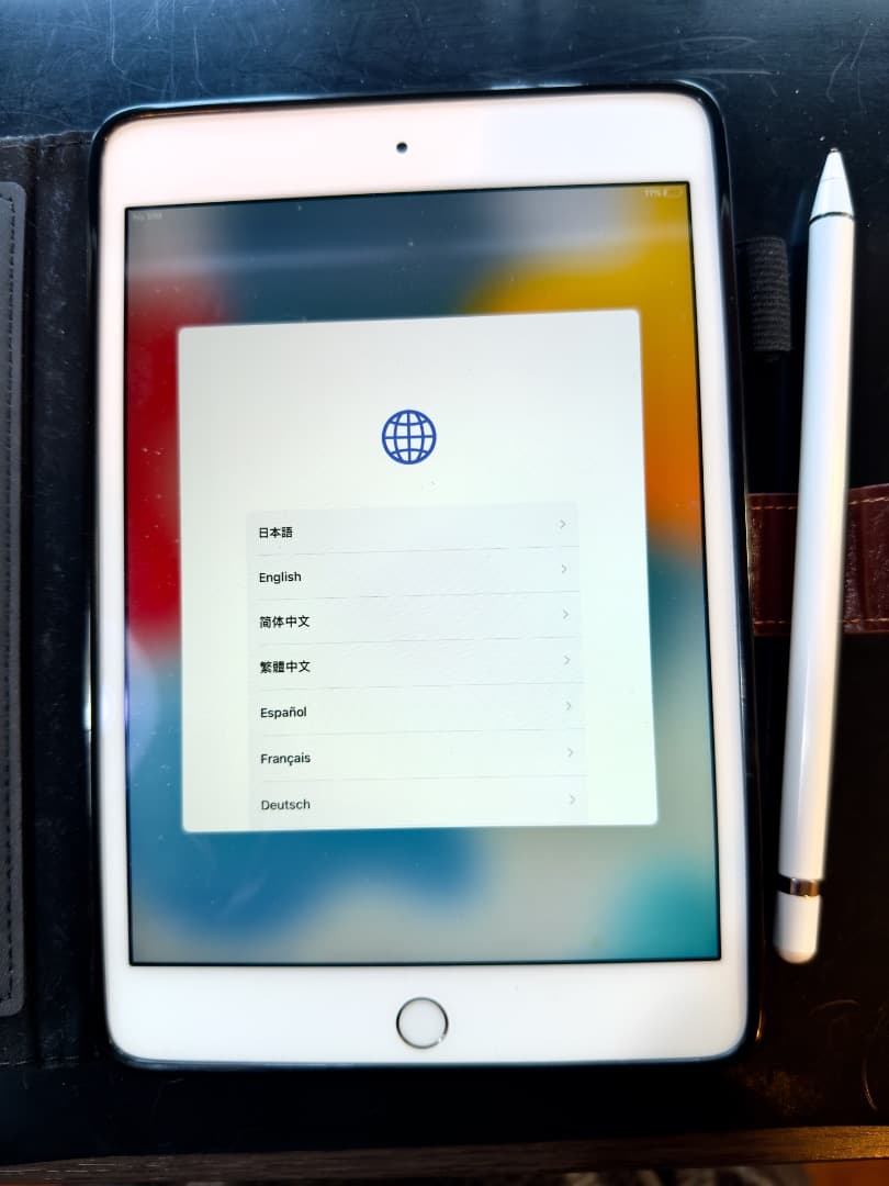 iPad本体 iPad mini4