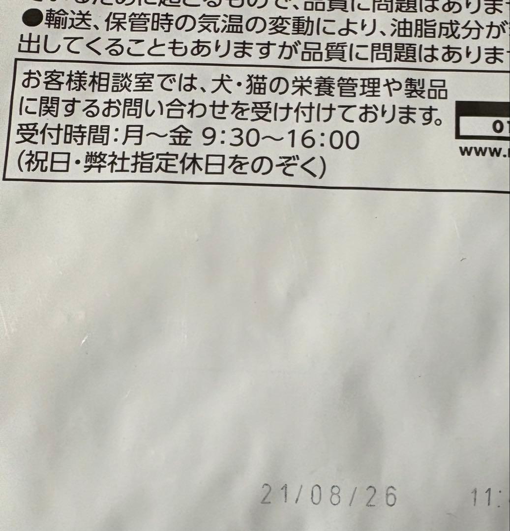  CANIN ロイヤルカナン柴犬成犬用8kg  CANIN