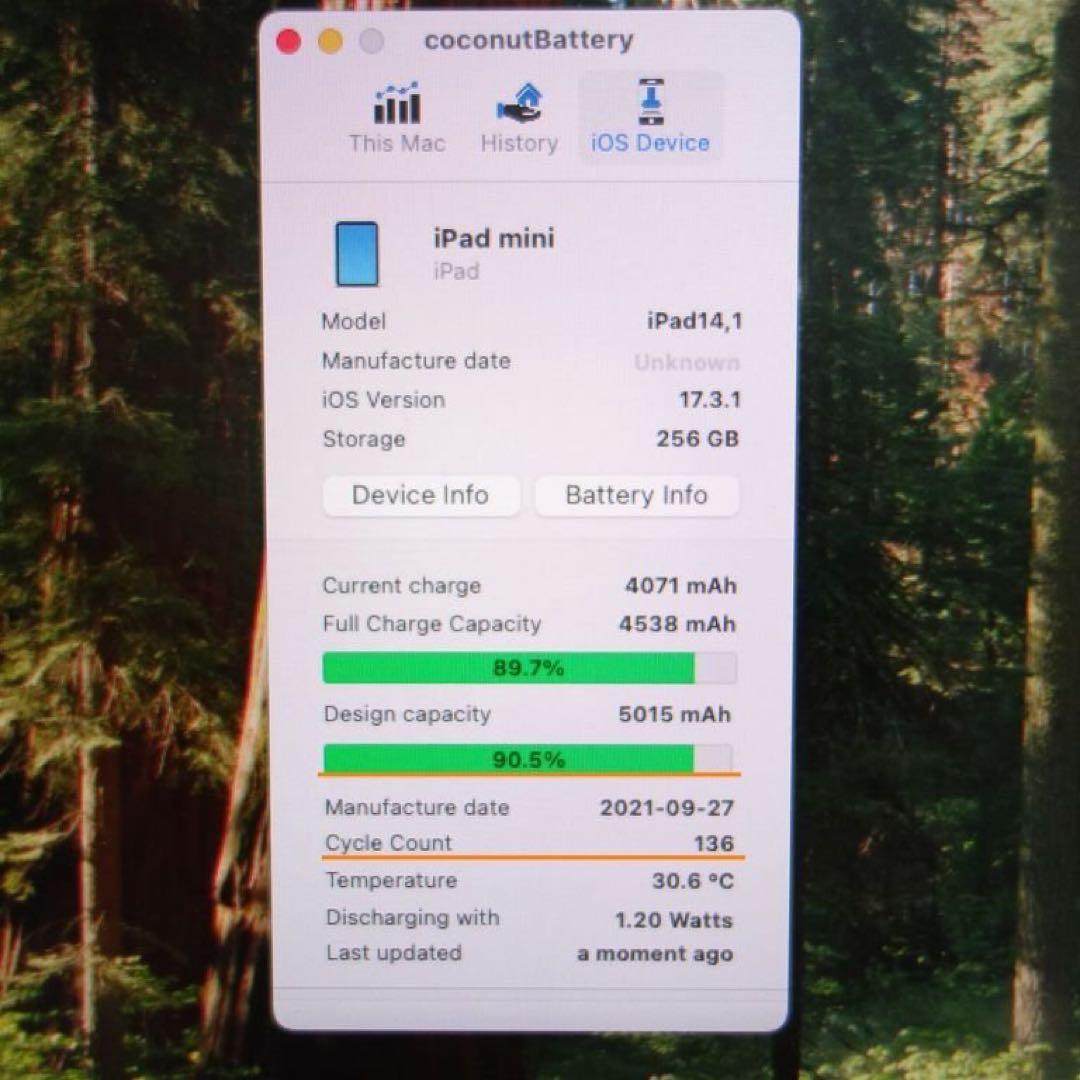 iPad mini 第6世代 Wi-Fi 256GB