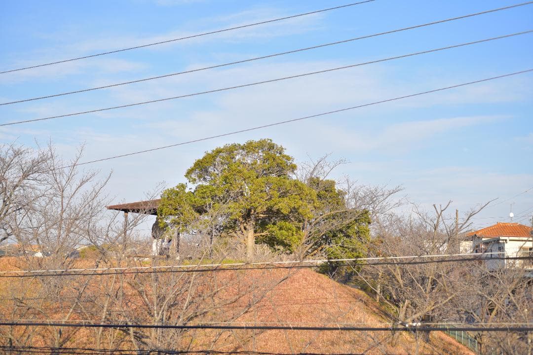レンズ(単焦点) Nikon AF Micro-NIKKOR 55mm F2.8 #7886