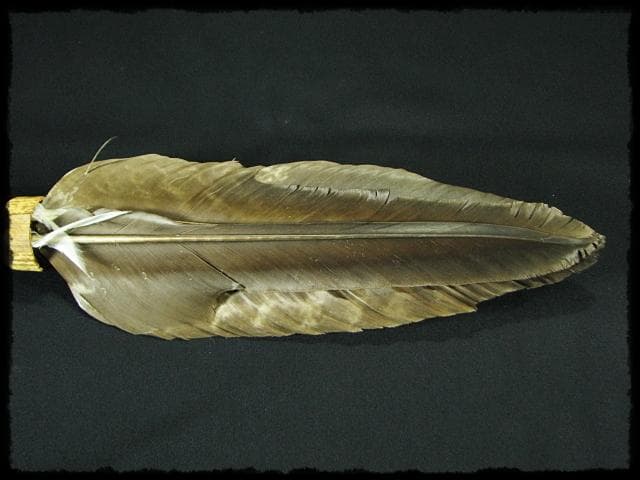 座掃 御羽箒 箒博 六ツ羽根 大掃込 茶道具 水屋道具 共箱 f321