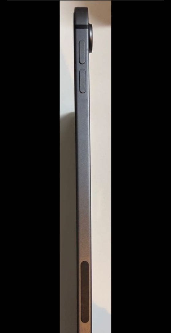 Apple iPad Pro セルラーモデル