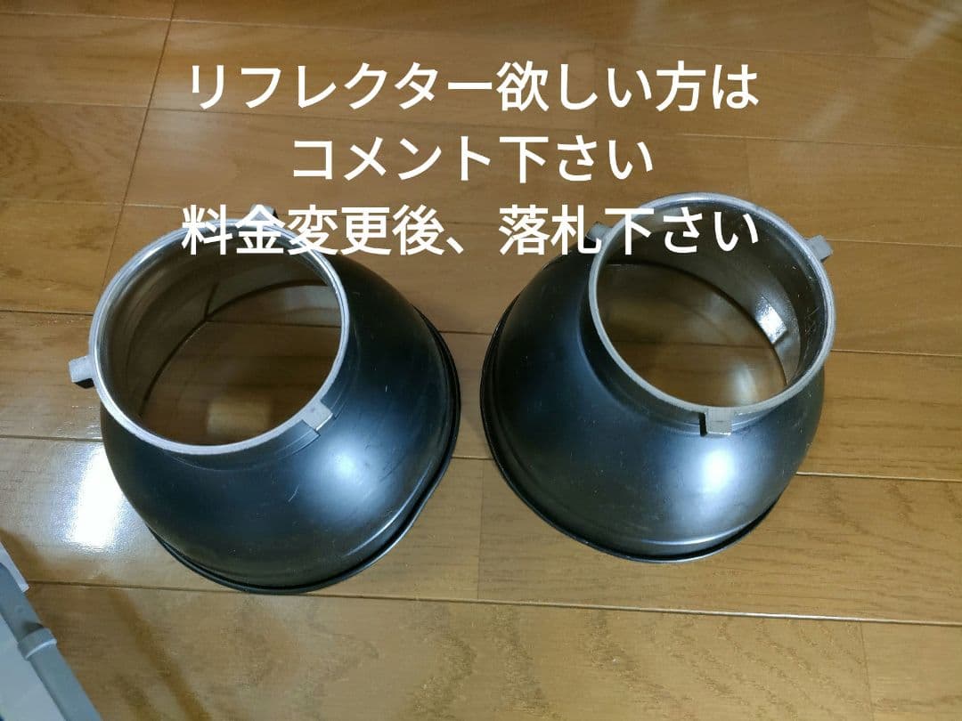 MANDA EL-600 LEDライト2個　自然光　タングステン用フィルター付き