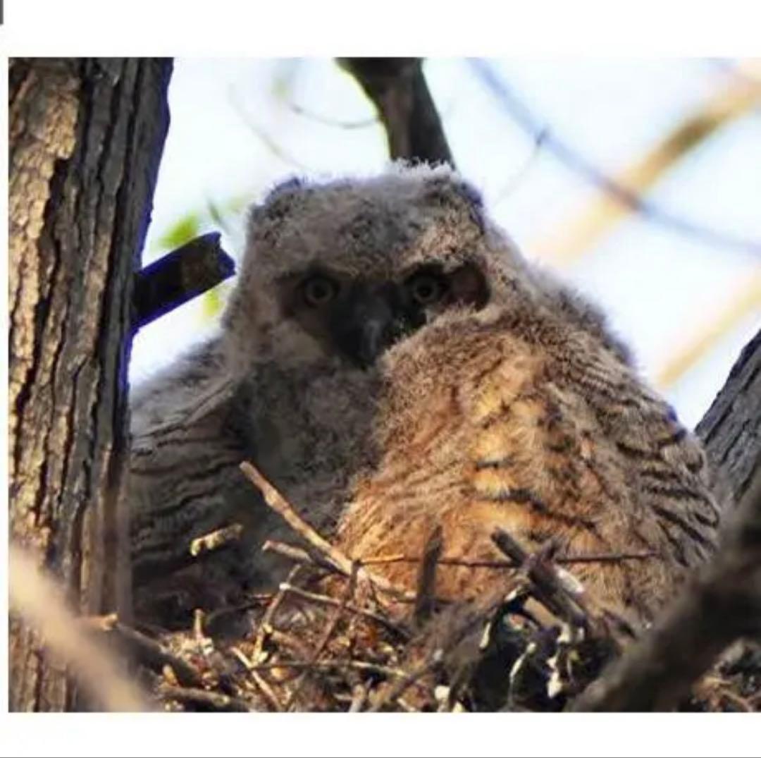 最安！OLYMPUSとPanasonicミラーレスカメラをお持ちの方におすすめ！