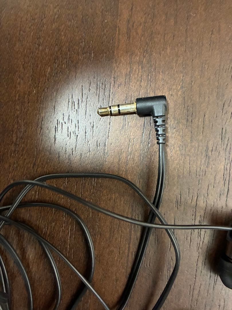 final heaven FI-BA-SA 有線イヤホン