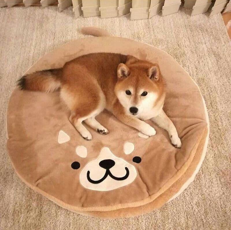 10点ペット ベッド 柴犬ハウス 犬ドーム型   マット付き ふわふわ 柔ら(