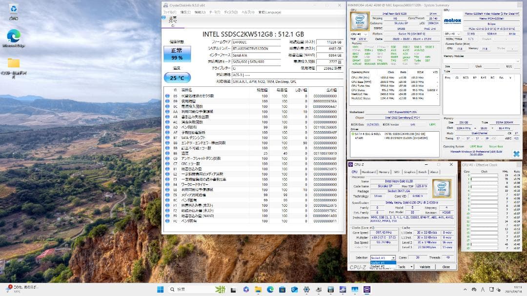 超性能！NEC タワー型サーバー 40c80t メモリ256GB Win11