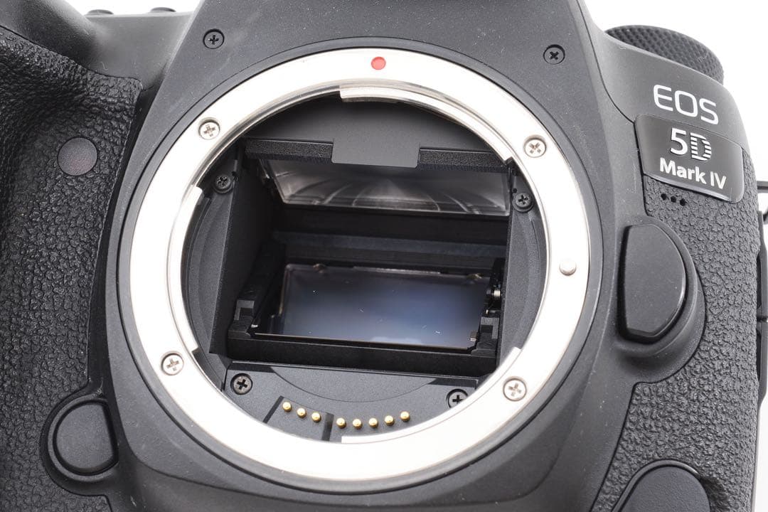 保証付/一眼レフカメラCanon EOS 5D Mark IVリプルレンズセット