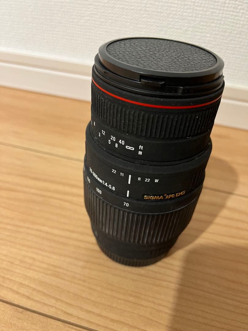 SIGMA APO 70-300 F4-5.6 DG MACRO フルサイズ対応