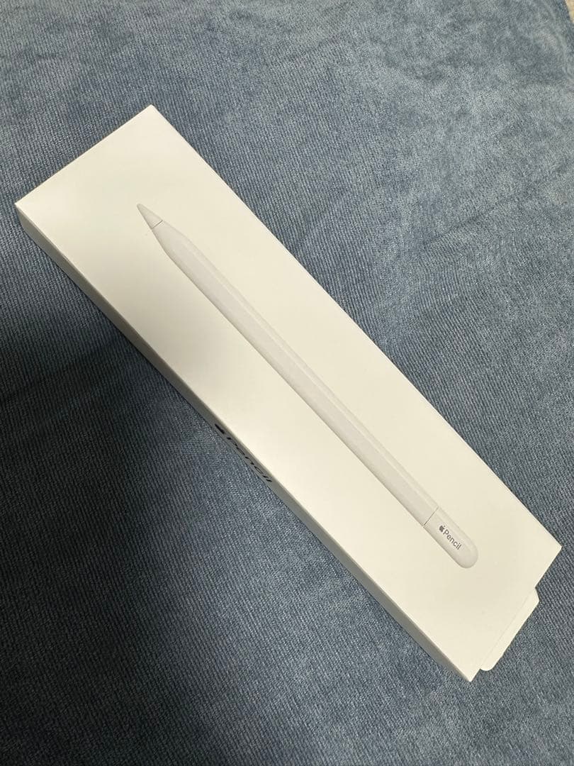 Apple Pencil (USB-C) 純正　アップルペンシル