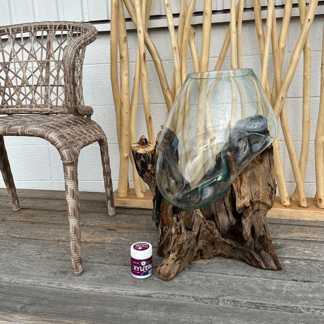 【送料無料】バリ島流木ガラスビッグサイズw50×d40×h62cm メダカ6-A