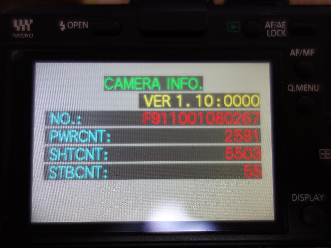 【超美品】panasonic DMC-GF1