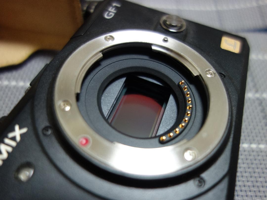 【超美品】panasonic DMC-GF1