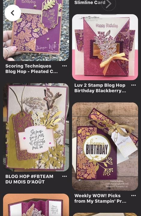 300【新品未使用】  スタンピンアップ    スタンプセット ダイ