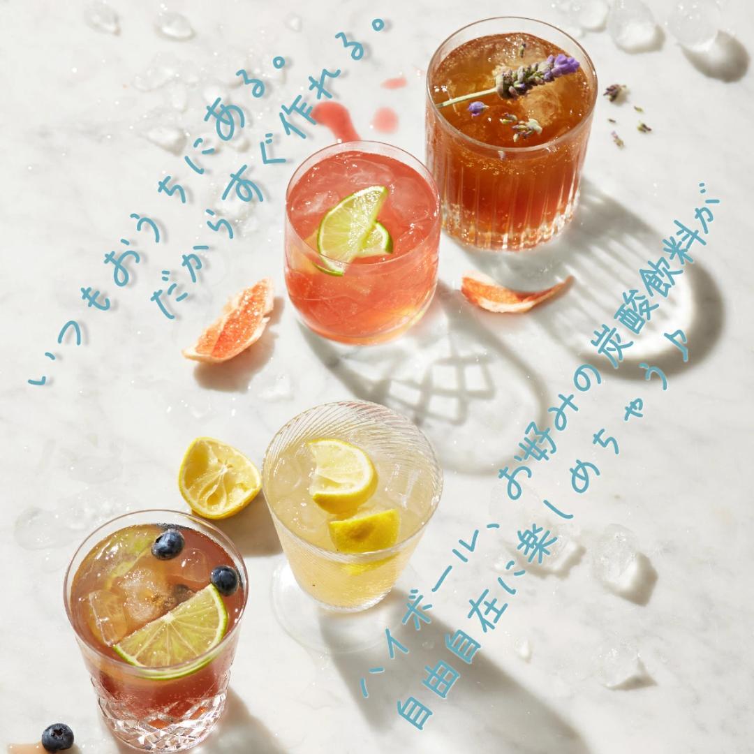 ソーダストリーム E-TERRA（E-テラ） 電動モデル 炭酸水メーカー 未使用