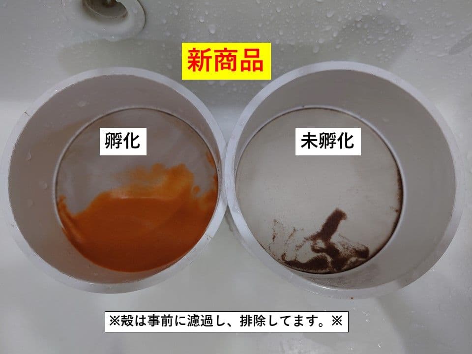 【グッピー太郎】中国産ブラインシュリンプエッグス　425g×4袋　孵化率85％