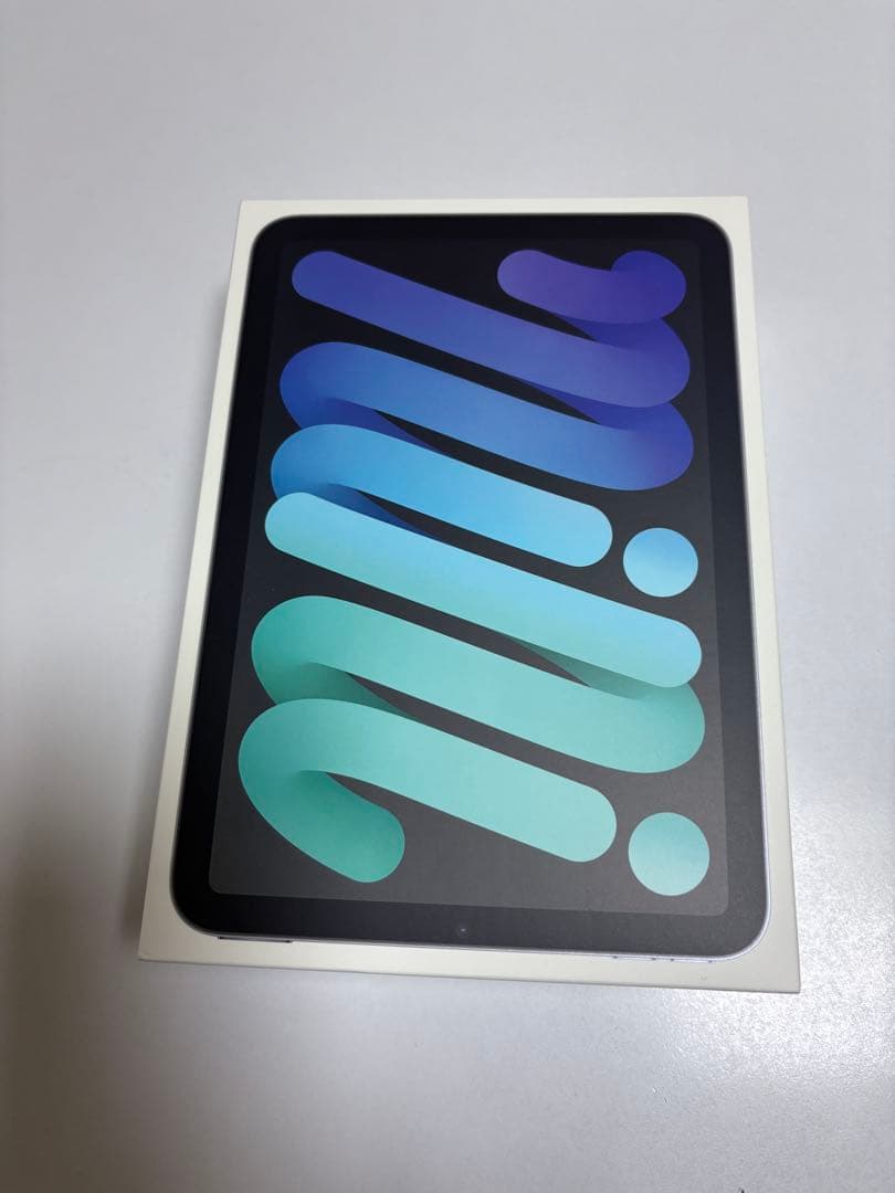 Apple 2021 iPad mini スペースグレイ　 256GB
