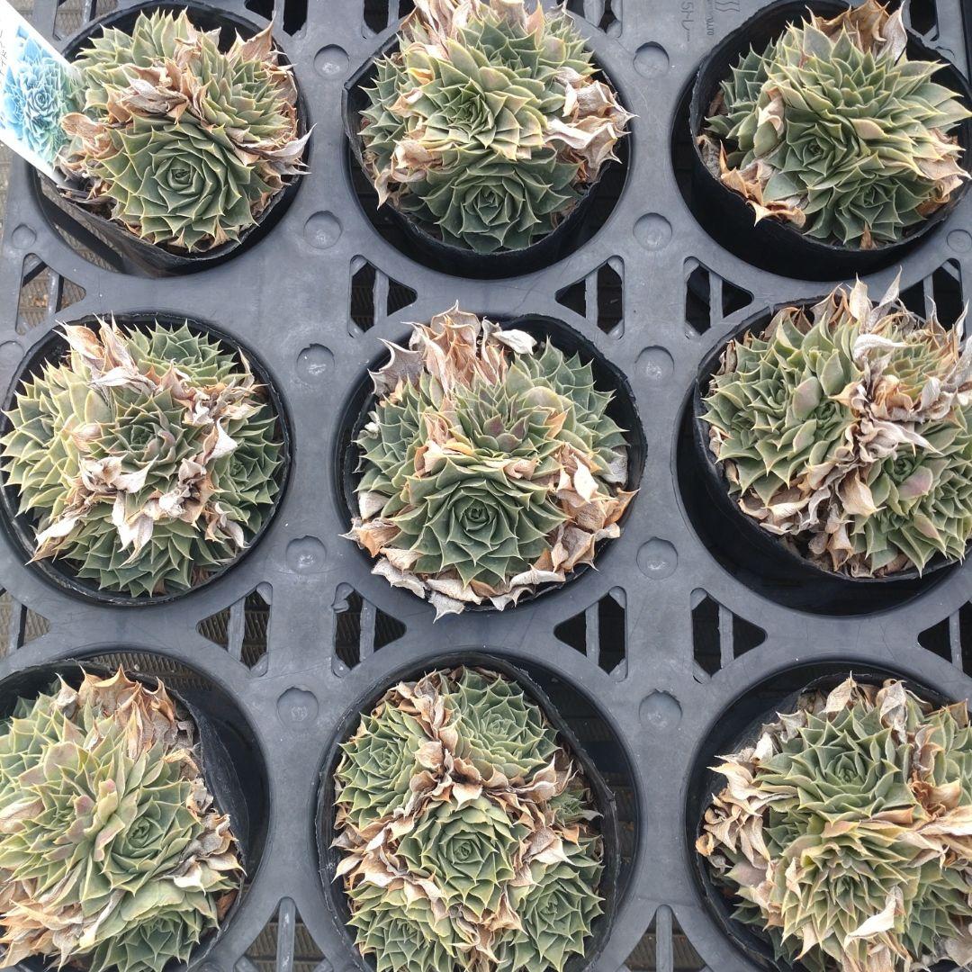 追加あり ガレージMさん専用