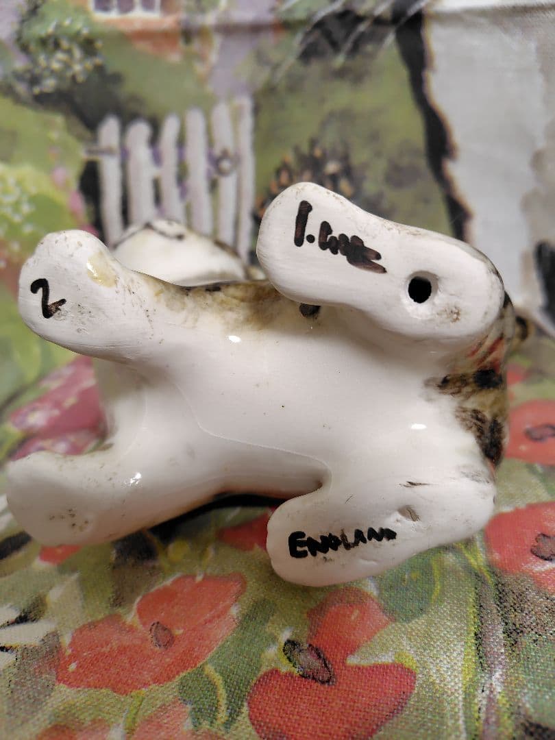 ウィンスタンレイ　ケンジントンキャット