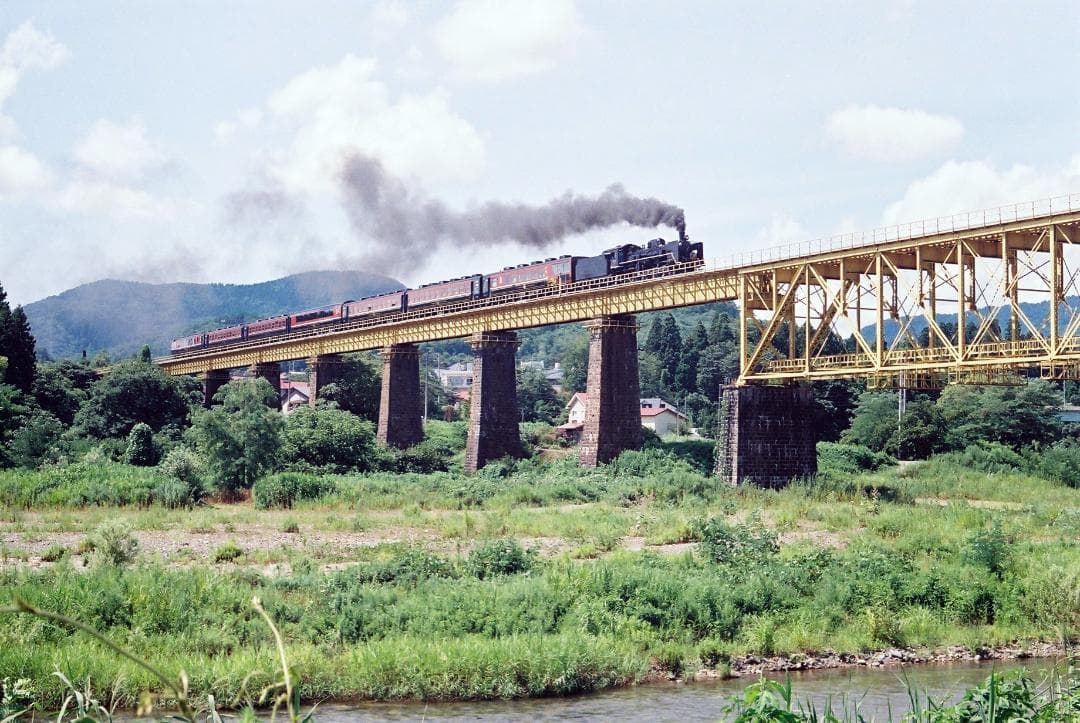 【実写確認整ペトリV6Ⅱ／Petri55mmf1.8メタルフード付