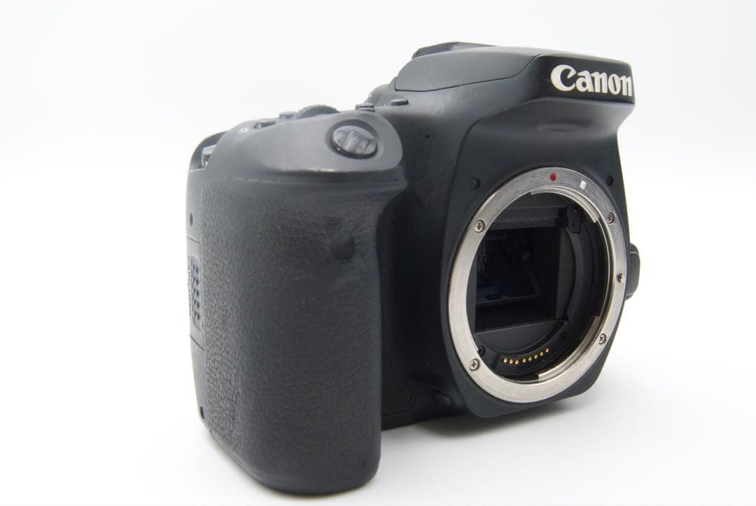 Canon EOS 90D Wレンズ　高速連写　3250万画素　4K動画撮影可能