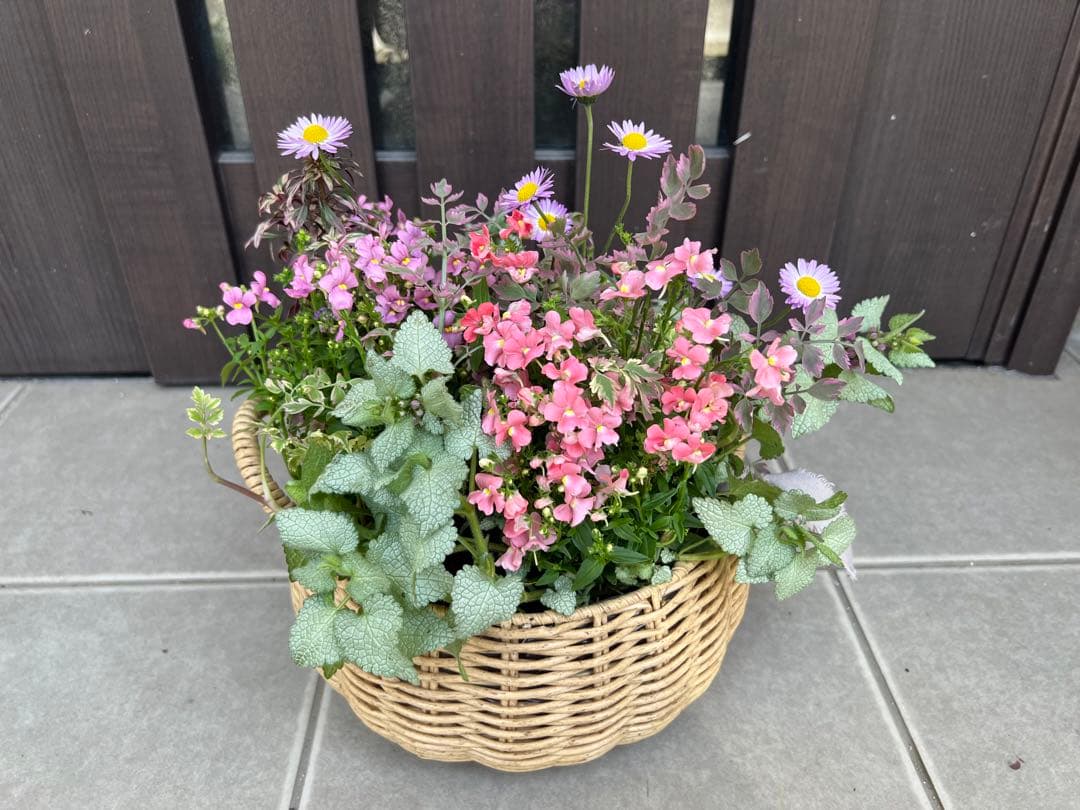 母の日にも♪ 寄せ植え　花■大人可愛いバスケット