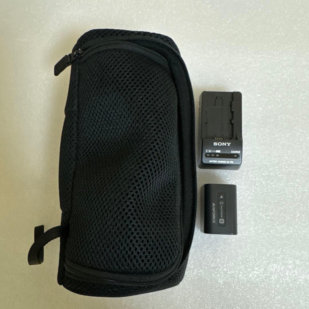 ビデオカメラ Handycam HDR-XR550V