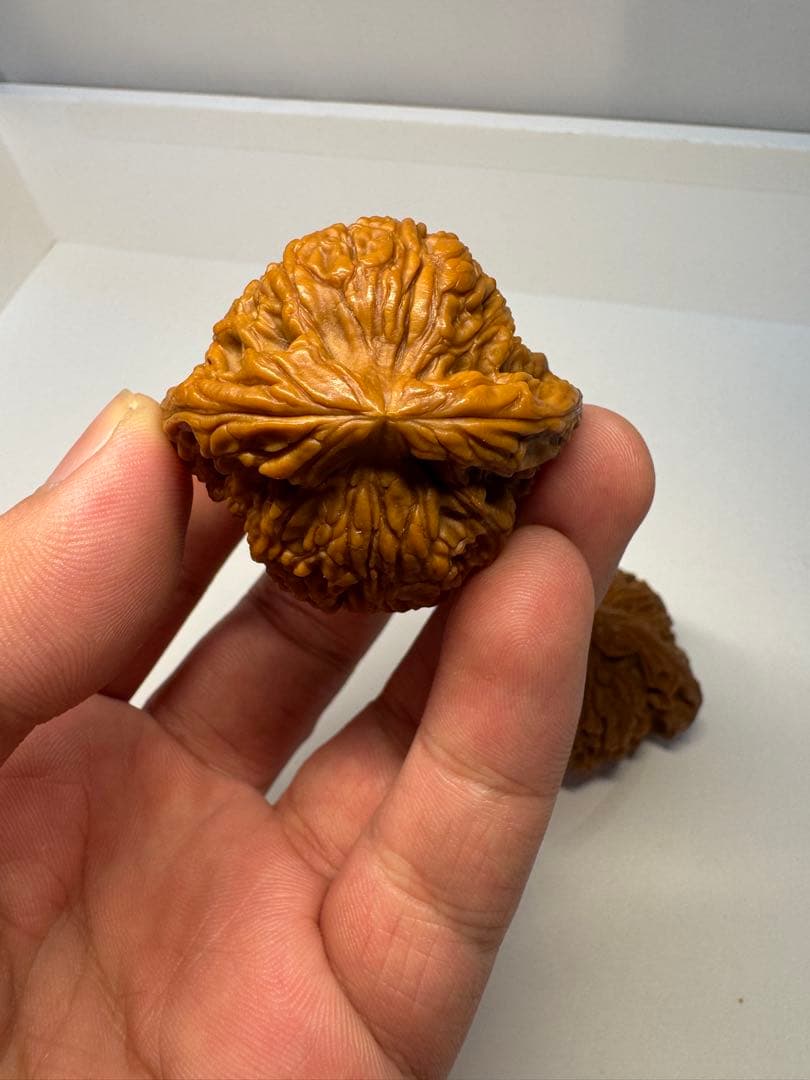 希少文玩核桃 南疆石 極太楞特徴