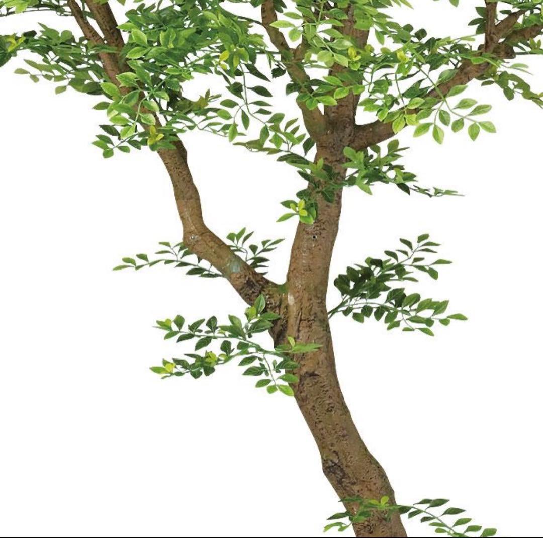 光触媒　人工観葉植物　ウォールグリーン　フェイクグリーン　ゴールデンリーフ鉢付き