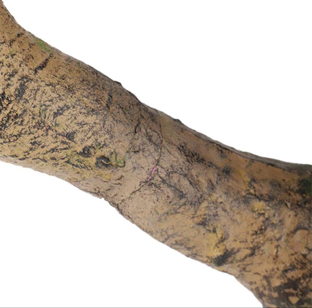 光触媒　人工観葉植物　ウォールグリーン　フェイクグリーン　ゴールデンリーフ鉢付き