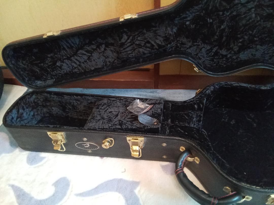 値引き❗美品‼️Breedlove Breedlove　 ハードケース