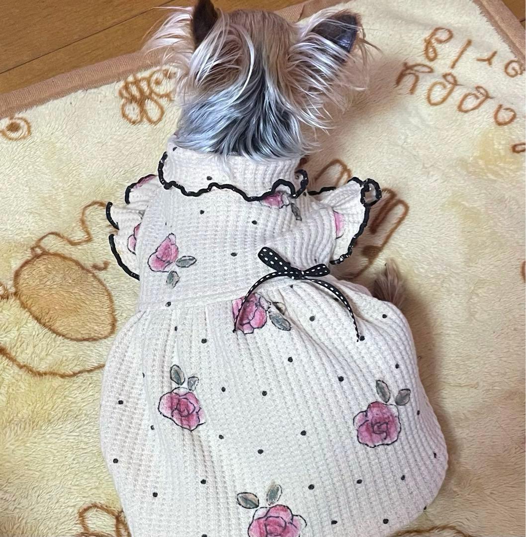 ハンドメイド犬服　ロールネック切替フリルワンピ ワッフルニット
