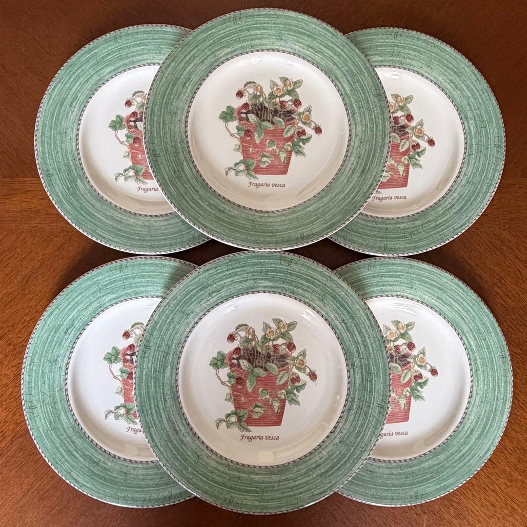 【美品】英国製　ウェッジウッド★サラズガーデン★グリーンデザート皿　6枚