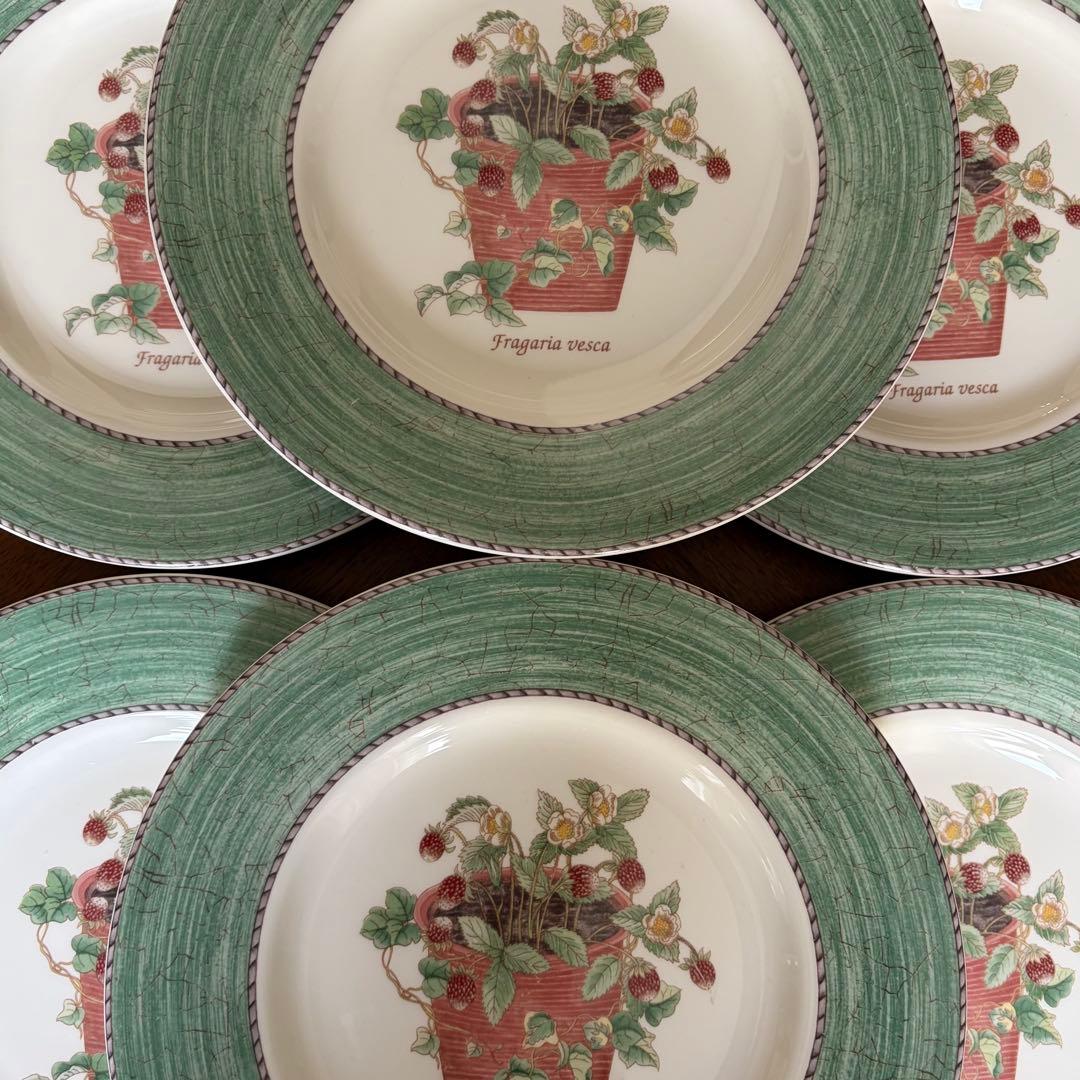 【美品】英国製　ウェッジウッド★サラズガーデン★グリーンデザート皿　6枚