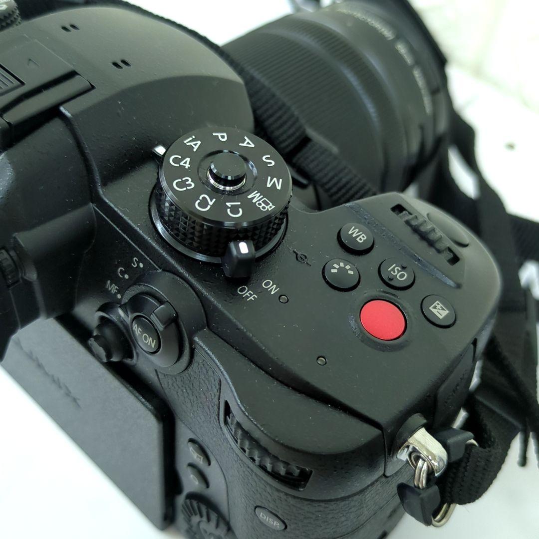 パナソニック ミラーレス一眼カメラ ルミックス GH5M2 レンズキット 高倍率