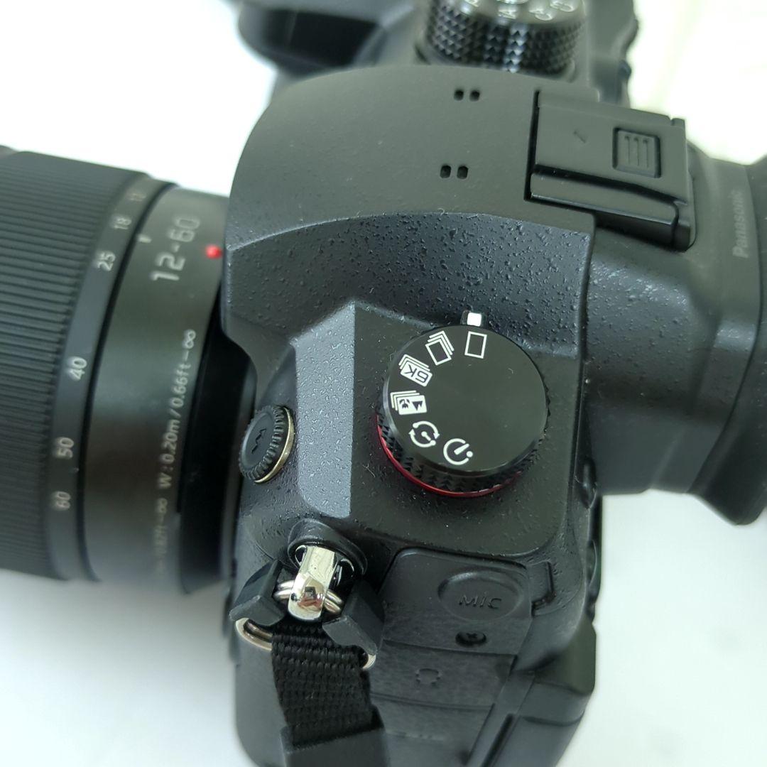 パナソニック ミラーレス一眼カメラ ルミックス GH5M2 レンズキット 高倍率