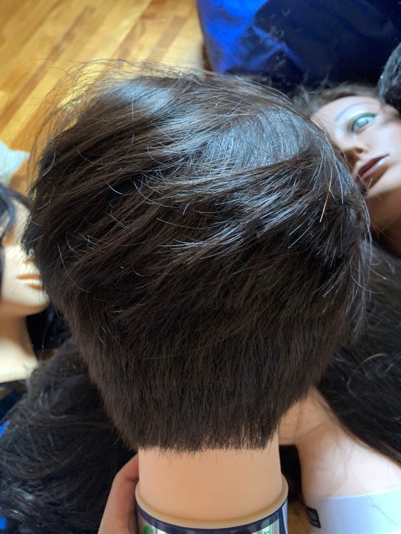 使用済みの人毛カットウィッグ　12体セット売り