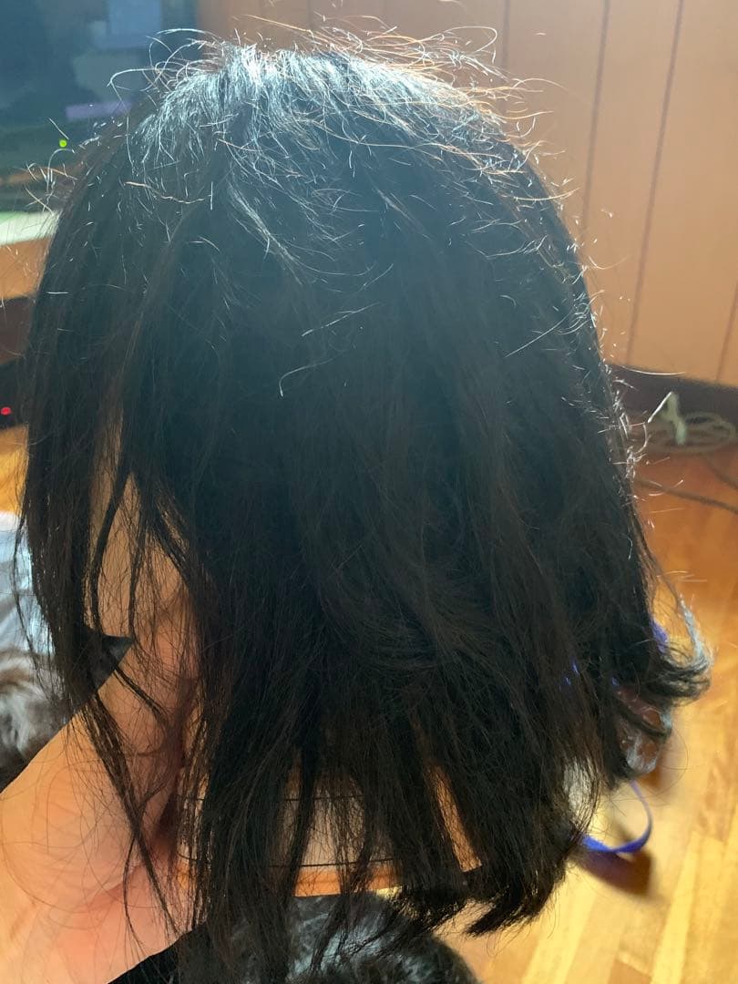 使用済みの人毛カットウィッグ　12体セット売り