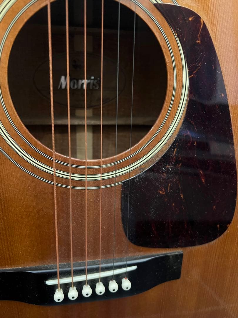 Morris TF-50T アコースティックギター サンバースト