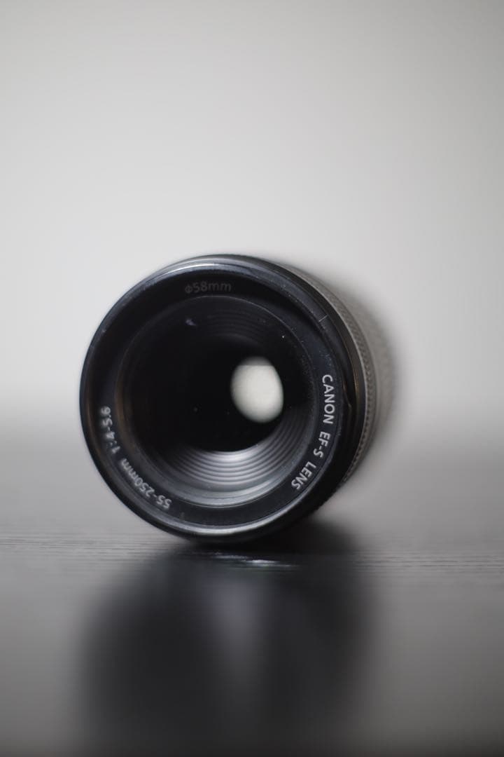 Canon EF-S 55-250mm f4-5.6 ズームレンズ