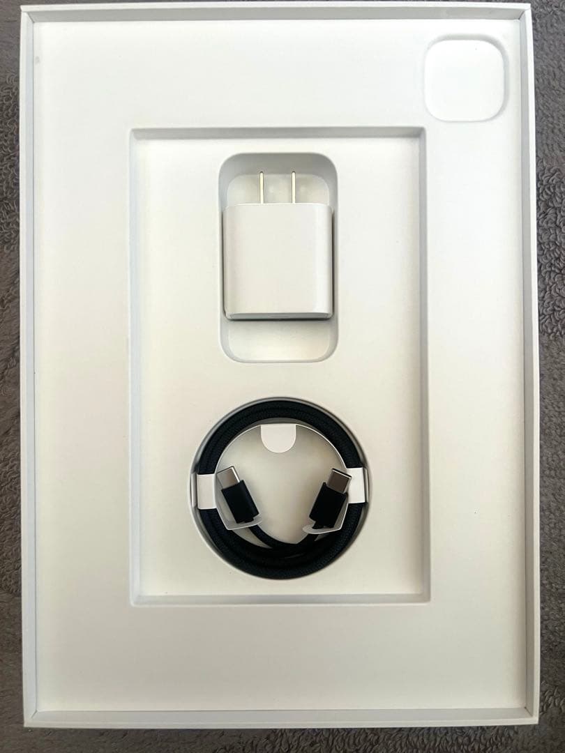 11インチiPad Pro M4 256GB Wi-Fi AppleCare加入