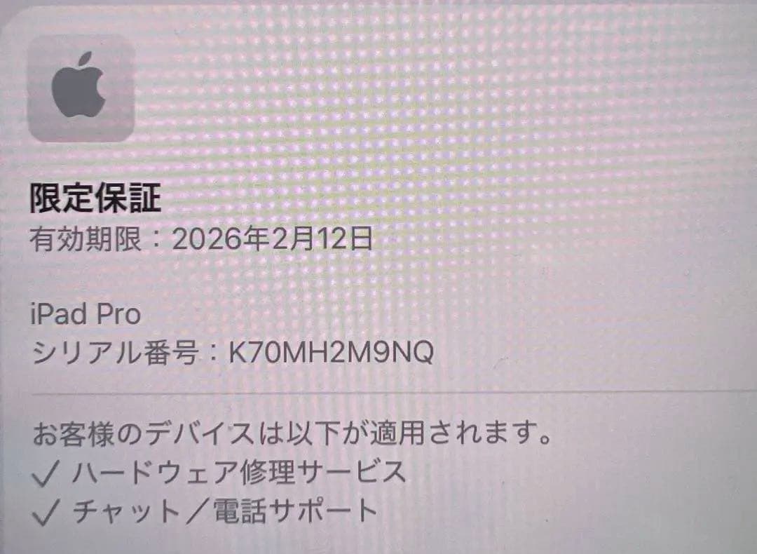 11インチiPad Pro M4 256GB Wi-Fi AppleCare加入