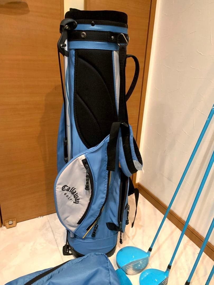 豪華　レディースゴルフクラブ 本格フルセット　ワールドイーグル　プロ推進　優しい