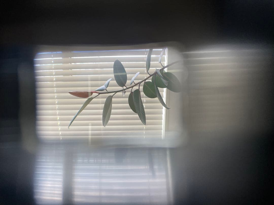 rollei35 ローライ35 ドイツ製稀少初期　実用品　レア