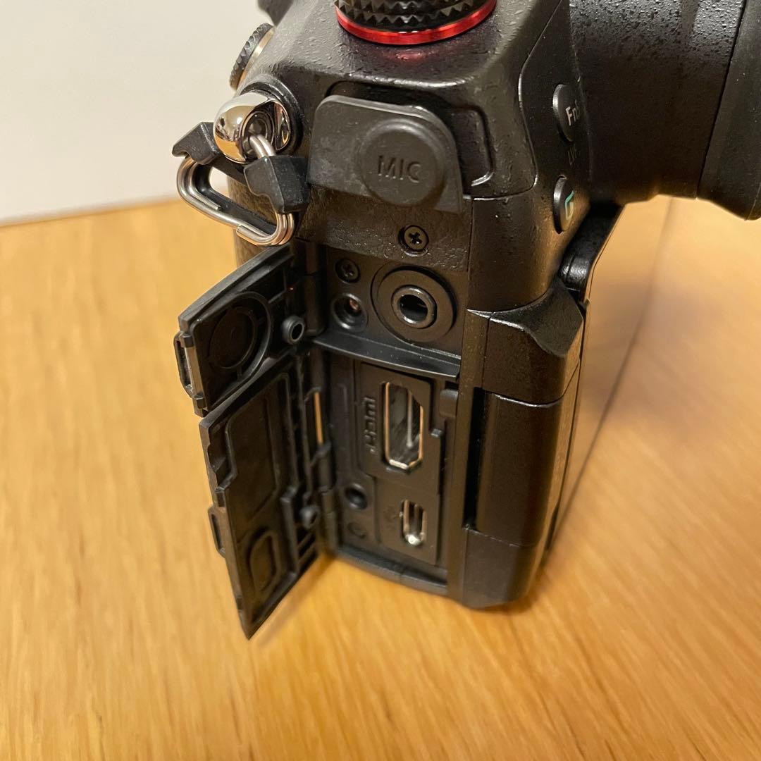 専用　　LUMIX DC-GH5S